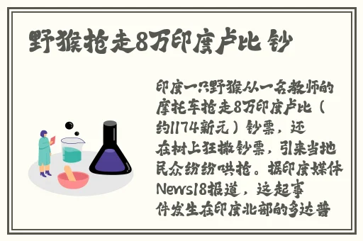 三级日本